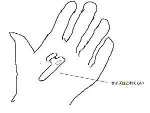 これくらいのサイズです