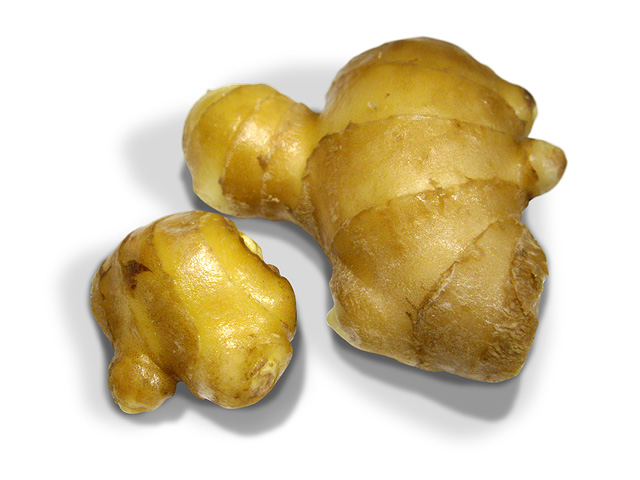 ショウガは役に立つ! あんずクリニック産婦人科