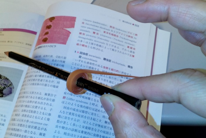 サナダ虫を巻き取る（イメージ）